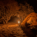 Camping Travel (1)