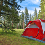 Camping Travel (3)